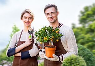 Проект «под ключ» где можно заказать по низкой цене  в Кемерово