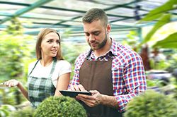 Дендроплан - верное планирование территории и решения этой задачи на уровне  в Кемерово