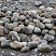 Kamenclub.ru: Речной валун (Ассорти) фр.100-300 мм.  купить в Кемерово галечник серый, темно-серый, светло-серый речная галька крупных размеров 4200 руб/т   фото КАМЕНЬ КЛУБ