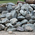 Kamenclub.ru: Гранит скальник (серо-зеленый) фр. 100-500 мм.  купить в Кемерово гранит зеленый, серый, салатовый крупный ландшафтный валун 6 000 руб/т   фото КАМЕНЬ КЛУБ