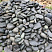 Kamenclub.ru: Темно-серый валунчик фр.100-300 мм.  купить в Кемерово крупный природный камень серый, темно-серый, светло-серый речная галька большого размера окатанная 4500 руб/т   фото КАМЕНЬ КЛУБ