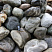 Kamenclub.ru: Речной валун Кабанчик фр.300-500 мм.  купить в Кемерово крупный природный камень галька серый, темно-серый речной валун галечник масштабный 7000 руб/т   фото КАМЕНЬ КЛУБ