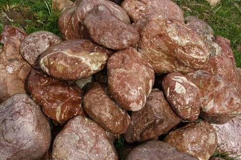 Kamenclub.ru: Розовый валунчик фр.100-300 мм.  купить в Кемерово крупный природный камень розовый, серый молочный красный речной галечник природный 7850 руб/т   фото КАМЕНЬ КЛУБ