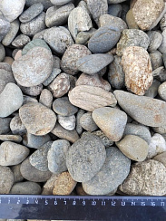 Kamenclub.ru: Галька речная окат (пестрая) фр. 20-40 мм. купить  в Кемерово галька речная пестрая, серая, серые оттенки галька речная окатанная округлая 5000 руб/т   фото КАМЕНЬ КЛУБ