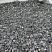 Kamenclub.ru: Щебень крошка черный (мрамор) фр. 10-20 мм.  купить в Кемерово мрамор черный с белыми прожилками, черный, белый каменная ландшафтная декоративная крошка щебня 11000 руб/т   фото КАМЕНЬ КЛУБ