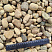 Kamenclub.ru: Галька речная окат рыжая фр. 20-40 мм. купить  в Кемерово галька речная окатанная рыжая желтая серая округлая речная галька 5000 руб/т   фото КАМЕНЬ КЛУБ