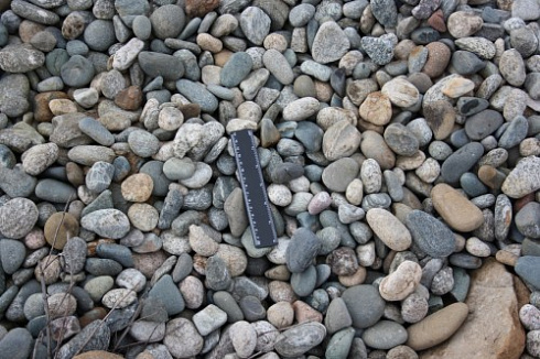 Kamenclub.ru: Галька речная окат (пестрая) фр. 20-40 мм. купить  в Кемерово галька речная пестрая, серая, серые оттенки галька речная окатанная округлая 5000 руб/т   фото КАМЕНЬ КЛУБ