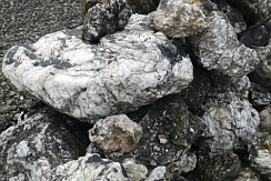 Kamenclub.ru: Черный гранит - кварцит фр. 100-500 мм.  купить в Кемерово мрамор гранит черный с белыми прожилками, серый, белый валун скальный колотый 7000 руб/т   фото КАМЕНЬ КЛУБ