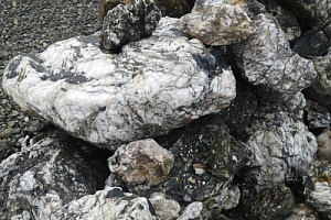 Kamenclub.ru: Черный гранит - кварцит фр. 100-500 мм.  купить в Кемерово мрамор гранит черный с белыми прожилками, серый, белый валун скальный колотый 7000 руб/т   фото КАМЕНЬ КЛУБ