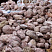 Kamenclub.ru: Розовый валунчик фр.100-300 мм.  купить в Кемерово крупный природный камень розовый, серый молочный красный речной галечник природный 7850 руб/т   фото КАМЕНЬ КЛУБ