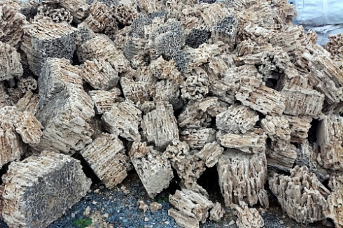 Kamenclub.ru: Крымский природный меотис фр. 100-500 мм.  купить в Кемерово меотис бежевый рыжий молочный желтый ракушечник 4 500 руб/т   фото КАМЕНЬ КЛУБ