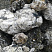 Kamenclub.ru: Черный гранит - кварцит фр. 100-500 мм.  купить в Кемерово мрамор гранит черный с белыми прожилками, серый, белый валун скальный колотый 7000 руб/т   фото КАМЕНЬ КЛУБ