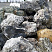 Kamenclub.ru: Черный гранит - кварцит фр. 500-1000 мм.  купить в Кемерово гранит кварцит черный серый белый скальный колотый валун 9750 руб/т   фото КАМЕНЬ КЛУБ