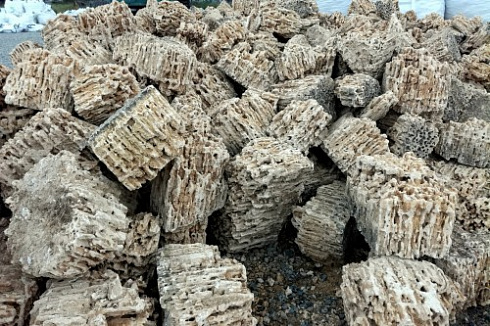 Kamenclub.ru: Крымский природный меотис фр. 100-500 мм.  купить в Кемерово меотис бежевый рыжий молочный желтый ракушечник 4 500 руб/т   фото КАМЕНЬ КЛУБ