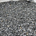 Kamenclub.ru: Щебень крошка черный (мрамор) фр. 20-40 мм.  купить в Кемерово мрамор черный с белыми прожилками мраморная каменная крошка 11000 руб/т   фото КАМЕНЬ КЛУБ