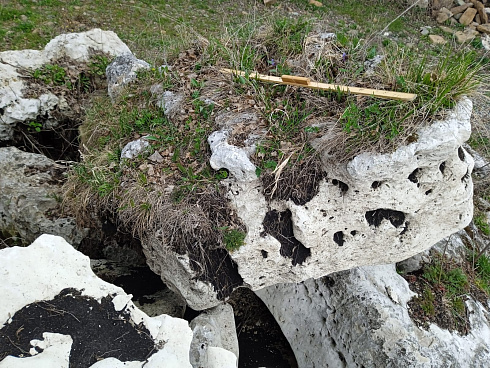 Kamenclub.ru: Выветренный известняк со мхом фр. 100-500 мм.  купить в Кемерово известняк серый белый зеленый валун известняковый крупный 10000 руб/т   фото КАМЕНЬ КЛУБ