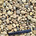 Kamenclub.ru: Галька речная окат рыжая фр. 20-40 мм. купить  в Кемерово галька речная окатанная рыжая желтая серая округлая речная галька 5000 руб/т   фото КАМЕНЬ КЛУБ