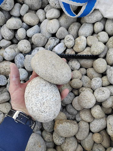 Kamenclub.ru: Галька речная окат (серо-белая) фр. 70-120 мм купить  в Кемерово галька галечник бело-серая, серо-белая, серая, белая речная природная галька  8000 руб/т   фото КАМЕНЬ КЛУБ