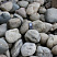 Kamenclub.ru: Темно-серый валунчик фр.100-300 мм.  купить в Кемерово крупный природный камень серый, темно-серый, светло-серый речная галька большого размера окатанная 4500 руб/т   фото КАМЕНЬ КЛУБ