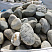 Kamenclub.ru: Речной валун (Ассорти) фр.100-300 мм.  купить в Кемерово галечник серый, темно-серый, светло-серый речная галька крупных размеров 4200 руб/т   фото КАМЕНЬ КЛУБ