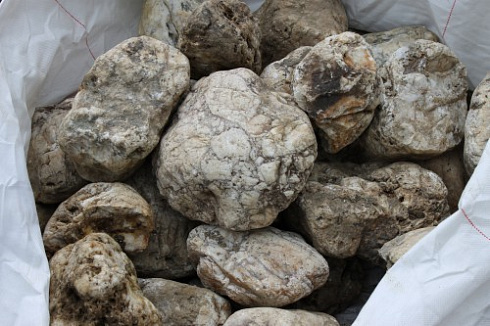 Kamenclub.ru: Кварцевый валунчик фр.100-300 мм.  купить в Кемерово кварц белый, бежевый молочный рыжий крупный природный камень галечник 7850 руб/т   фото КАМЕНЬ КЛУБ