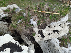 Kamenclub.ru: Выветренный известняк (степной) фр. 500-1500 мм.  купить в Кемерово    10000 руб/т   фото КАМЕНЬ КЛУБ