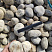 Kamenclub.ru: Галька речная окат (серо-белая) фр. 70-120 мм купить  в Кемерово галька галечник бело-серая, серо-белая, серая, белая речная природная галька  8000 руб/т   фото КАМЕНЬ КЛУБ