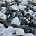 Kamenclub.ru: Мраморная крошка (щебень галтованный микс:: белый-черный) фр.20-40 мм  купить в Кемерово мрамор белый, черный мраморный галтованный щебень 15500 руб/т   фото КАМЕНЬ КЛУБ