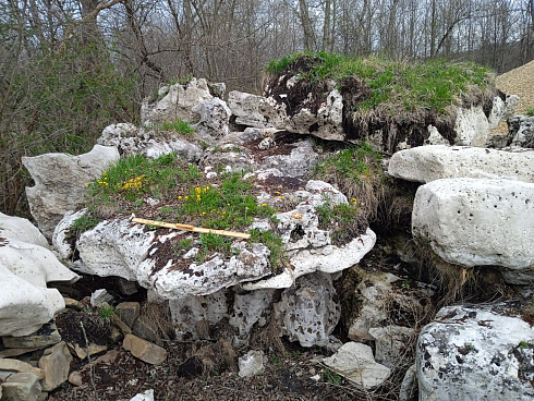 Kamenclub.ru: Выветренный известняк со мхом фр. 100-500 мм.  купить в Кемерово известняк серый белый зеленый валун известняковый крупный 10000 руб/т   фото КАМЕНЬ КЛУБ