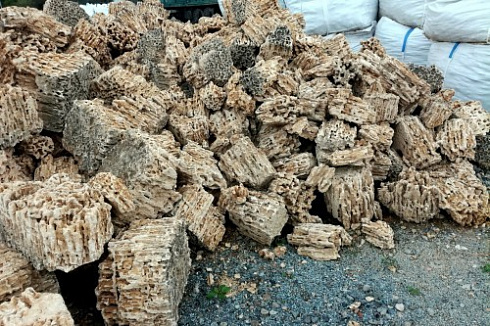 Kamenclub.ru: Крымский природный меотис фр. 100-500 мм.  купить в Кемерово меотис бежевый рыжий молочный желтый ракушечник 4 500 руб/т   фото КАМЕНЬ КЛУБ