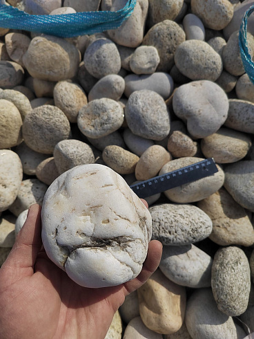 Kamenclub.ru: Галька речная окат (серо-белая) фр. 70-120 мм купить  в Кемерово галька галечник бело-серая, серо-белая, серая, белая речная природная галька  8000 руб/т   фото КАМЕНЬ КЛУБ