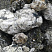Kamenclub.ru: Черный гранит - кварцит фр. 100-500 мм.  купить в Кемерово мрамор гранит черный с белыми прожилками, серый, белый валун скальный колотый 7000 руб/т   фото КАМЕНЬ КЛУБ