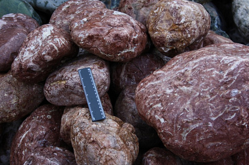 Kamenclub.ru: Розовый валунчик фр.100-300 мм.  купить в Кемерово крупный природный камень розовый, серый молочный красный речной галечник природный 7850 руб/т   фото КАМЕНЬ КЛУБ