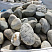 Kamenclub.ru: Речной валун (Ассорти) фр.100-300 мм.  купить в Кемерово галечник серый, темно-серый, светло-серый речная галька крупных размеров 4200 руб/т   фото КАМЕНЬ КЛУБ