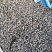 Kamenclub.ru: Галька речная окат (серая) фр.3-5 мм купить  в Кемерово галька речная серая бежевый темно-серый окатанный речной камень округлый 9500 руб/т   фото КАМЕНЬ КЛУБ
