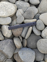 Kamenclub.ru: Галька речная плоская (ассорти) фр. 70-150 мм. купить в Кемерово галька галечник серый белый темно-серый синий светло-серый плоская природная галька  9000 руб/т   фото КАМЕНЬ КЛУБ