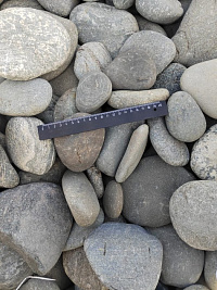 Kamenclub.ru: Галька речная плоская (ассорти) фр. 70-150 мм. купить в Кемерово галька галечник серый белый темно-серый синий светло-серый плоская природная галька  9000 руб/т   фото КАМЕНЬ КЛУБ