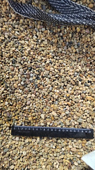 Kamenclub.ru: Галька окат (серо-желтая) фр.5-10 мм. купить  в Кемерово галька речная рыжий, желтый, рыжий, серо-желтый речная окатанная галька декоративная 5000 руб/т   фото КАМЕНЬ КЛУБ