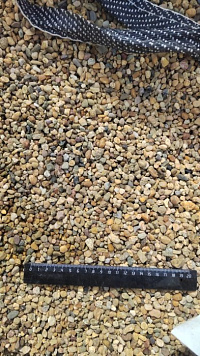 Kamenclub.ru: Галька окат (серо-желтая) фр.5-10 мм. купить  в Кемерово галька речная рыжий, желтый, рыжий, серо-желтый речная окатанная галька декоративная 5000 руб/т   фото КАМЕНЬ КЛУБ