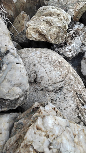 Kamenclub.ru: Кварцевый валунчик фр.100-300 мм.  купить в Кемерово кварц белый, бежевый молочный рыжий крупный природный камень галечник 7850 руб/т   фото КАМЕНЬ КЛУБ