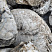 Kamenclub.ru: Кварцевый валунчик фр.100-300 мм.  купить в Кемерово кварц белый, бежевый молочный рыжий крупный природный камень галечник 7850 руб/т   фото КАМЕНЬ КЛУБ