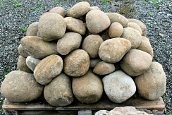 Kamenclub.ru: Песчаник ядра, фр. 100-300 мм  купить в Кемерово песчаник бежевый серый рыжий речная галька 5 000 руб/т   фото КАМЕНЬ КЛУБ