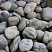 Kamenclub.ru: Речной валун (Ассорти) фр.100-300 мм.  купить в Кемерово галечник серый, темно-серый, светло-серый речная галька крупных размеров 4200 руб/т   фото КАМЕНЬ КЛУБ