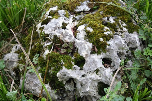 Kamenclub.ru: Выветренный известняк со мхом фр. 100-500 мм.  купить в Кемерово известняк серый белый зеленый валун известняковый крупный 10000 руб/т   фото КАМЕНЬ КЛУБ