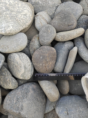 Kamenclub.ru: Галька речная плоская (ассорти) фр. 70-150 мм. купить  в Кемерово галька галечник серый белый темно-серый синий светло-серый плоская природная галька  9000 руб/т   фото КАМЕНЬ КЛУБ