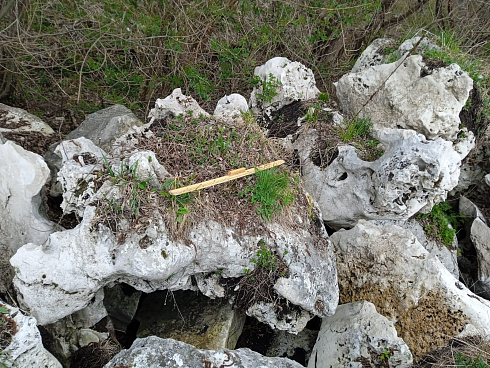 Kamenclub.ru: Выветренный известняк (степной) фр. 500-1500 мм.  купить в Кемерово    10000 руб/т   фото КАМЕНЬ КЛУБ