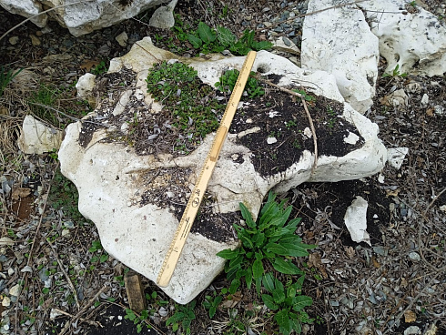 Kamenclub.ru: Выветренный известняк (степной) фр. 500-1500 мм.  купить в Кемерово    10000 руб/т   фото КАМЕНЬ КЛУБ