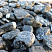 Kamenclub.ru: Щебень галтованный черный (мрамор) фр.20-40 мм.  купить в Кемерово мрамор черный с белыми прожилками мрамор окатанный округлый 15000 руб/т   фото КАМЕНЬ КЛУБ