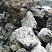 Kamenclub.ru: Черный гранит - кварцит фр. 100-500 мм.  купить в Кемерово мрамор гранит черный с белыми прожилками, серый, белый валун скальный колотый 7000 руб/т   фото КАМЕНЬ КЛУБ
