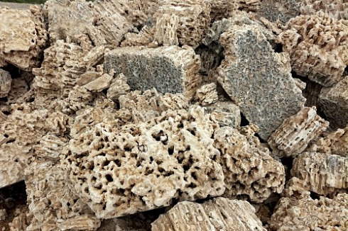 Kamenclub.ru: Крымский природный меотис фр. 100-500 мм.  купить в Кемерово меотис бежевый рыжий молочный желтый ракушечник 4 500 руб/т   фото КАМЕНЬ КЛУБ